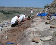 The Southern Alberta Dinosaur Project team dig in a bonebed.