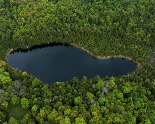 Crawford Lake © ROM View of Crawford Lake from above