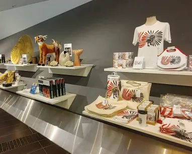 ROM Boutique A store display wall showing assorted items including t-shirts, stuffies, homewares, and sculptures.