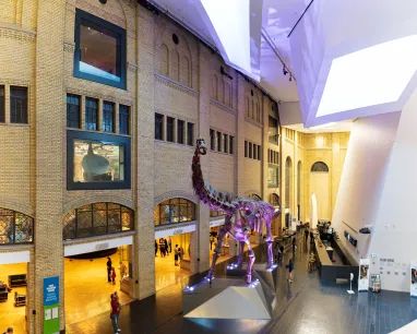 A artificial dinosaur fossil is displayed indoors, surrounded by people walking and engaging with the space. A artificial dinosaur fossil is displayed indoors, surrounded by people walking and engaging with the space.
