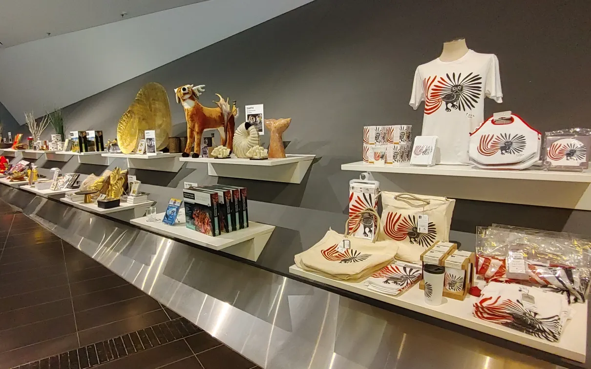 ROM Boutique A store display wall showing assorted items including t-shirts, stuffies, homewares, and sculptures.