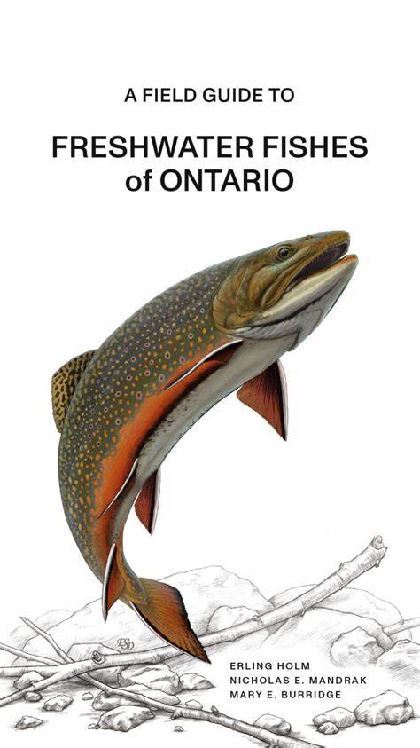  A Field Guide to Freshwater Fishes of Ontario.