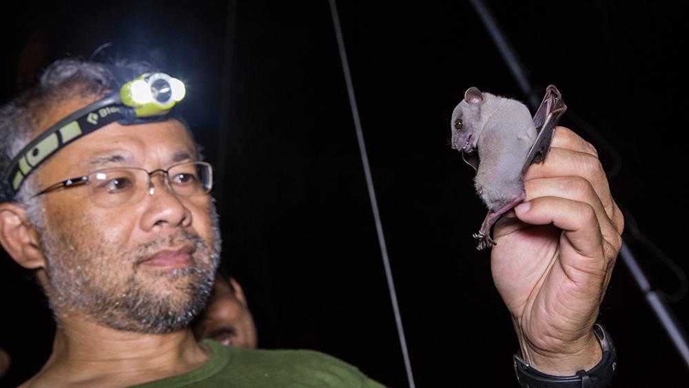 Burton Lim examines a bat while in the field doing research.