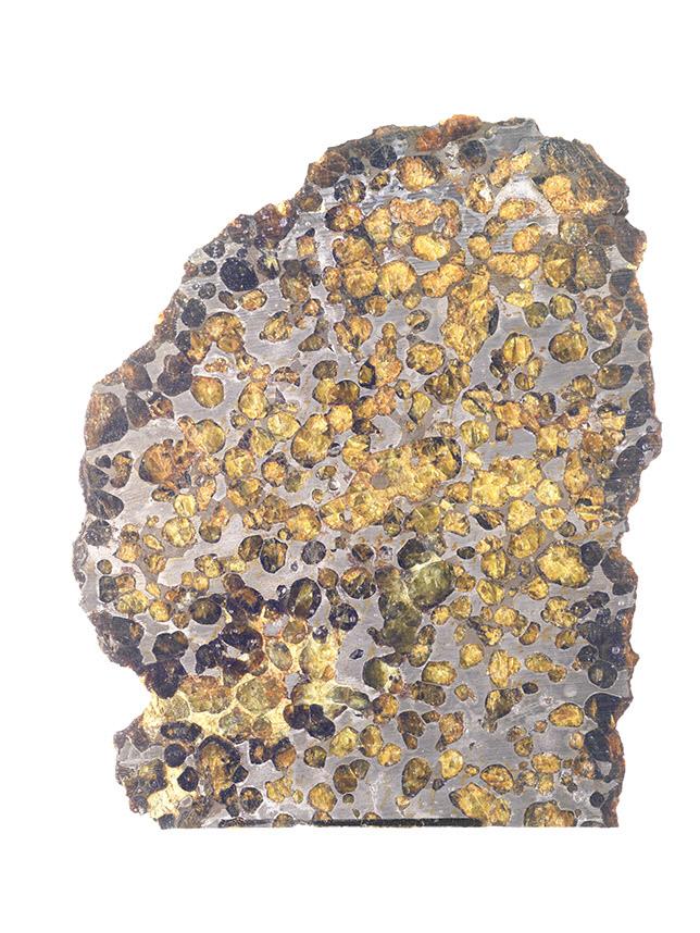 Pallasite de Springwater.