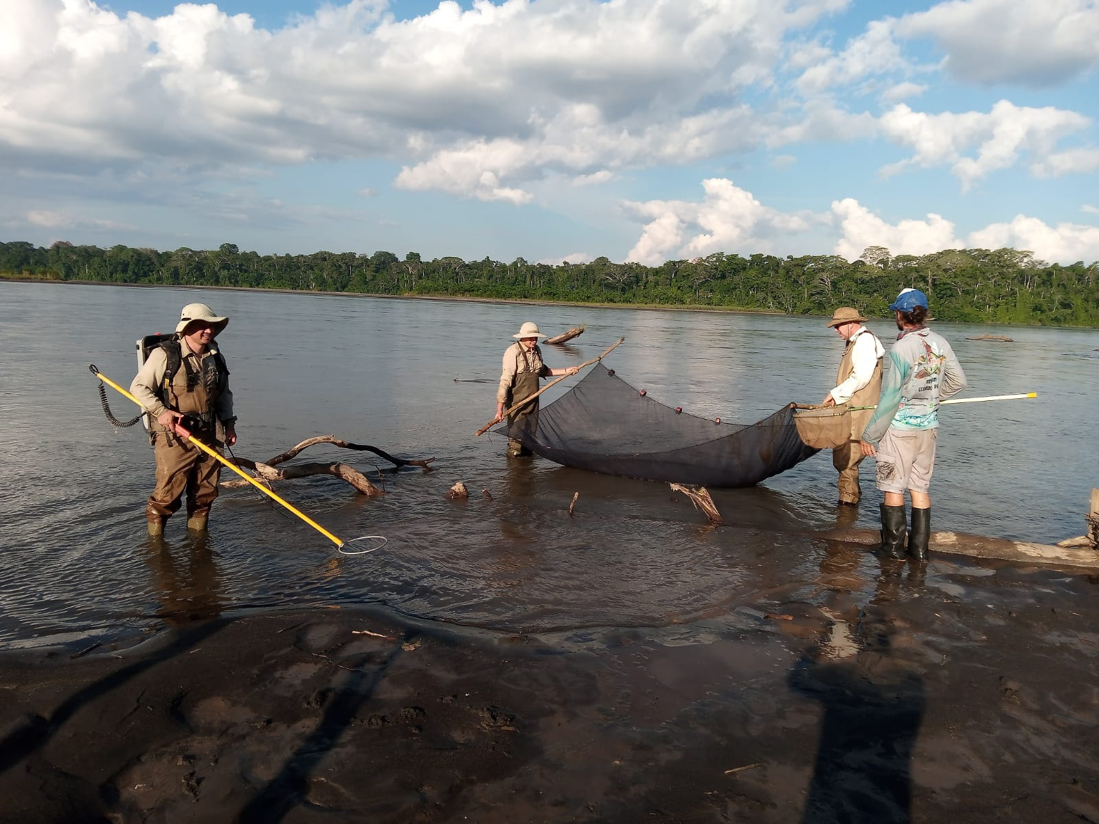 Researchers in the Amazon river with nets