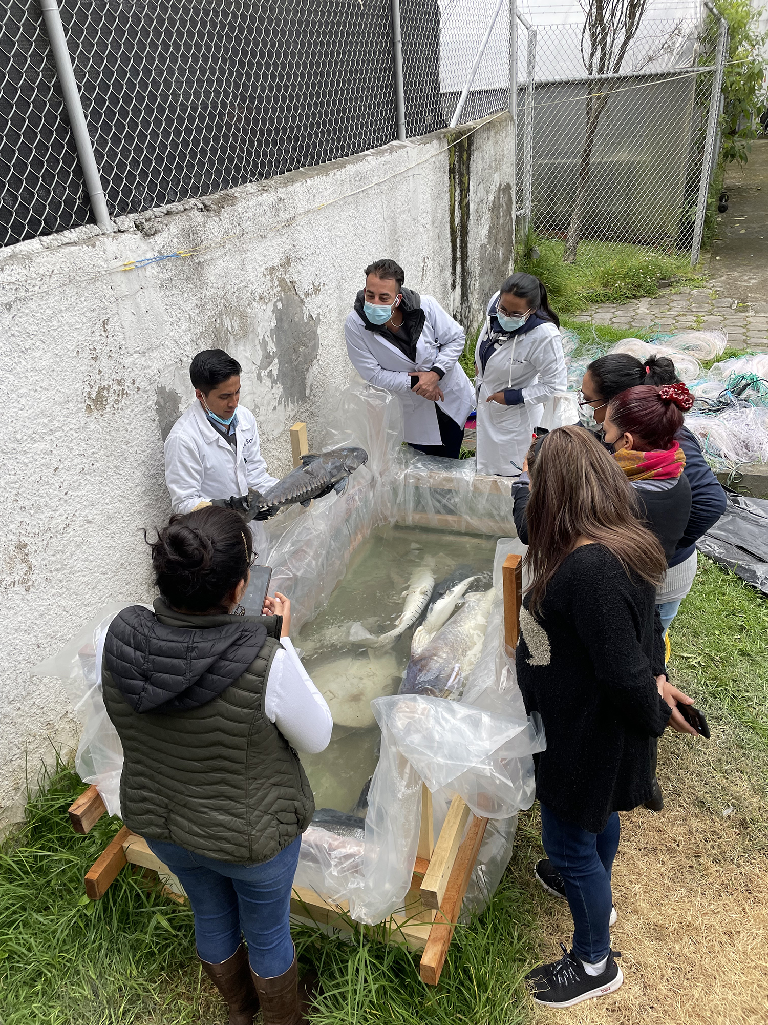 Team of scientists inspecting a fish