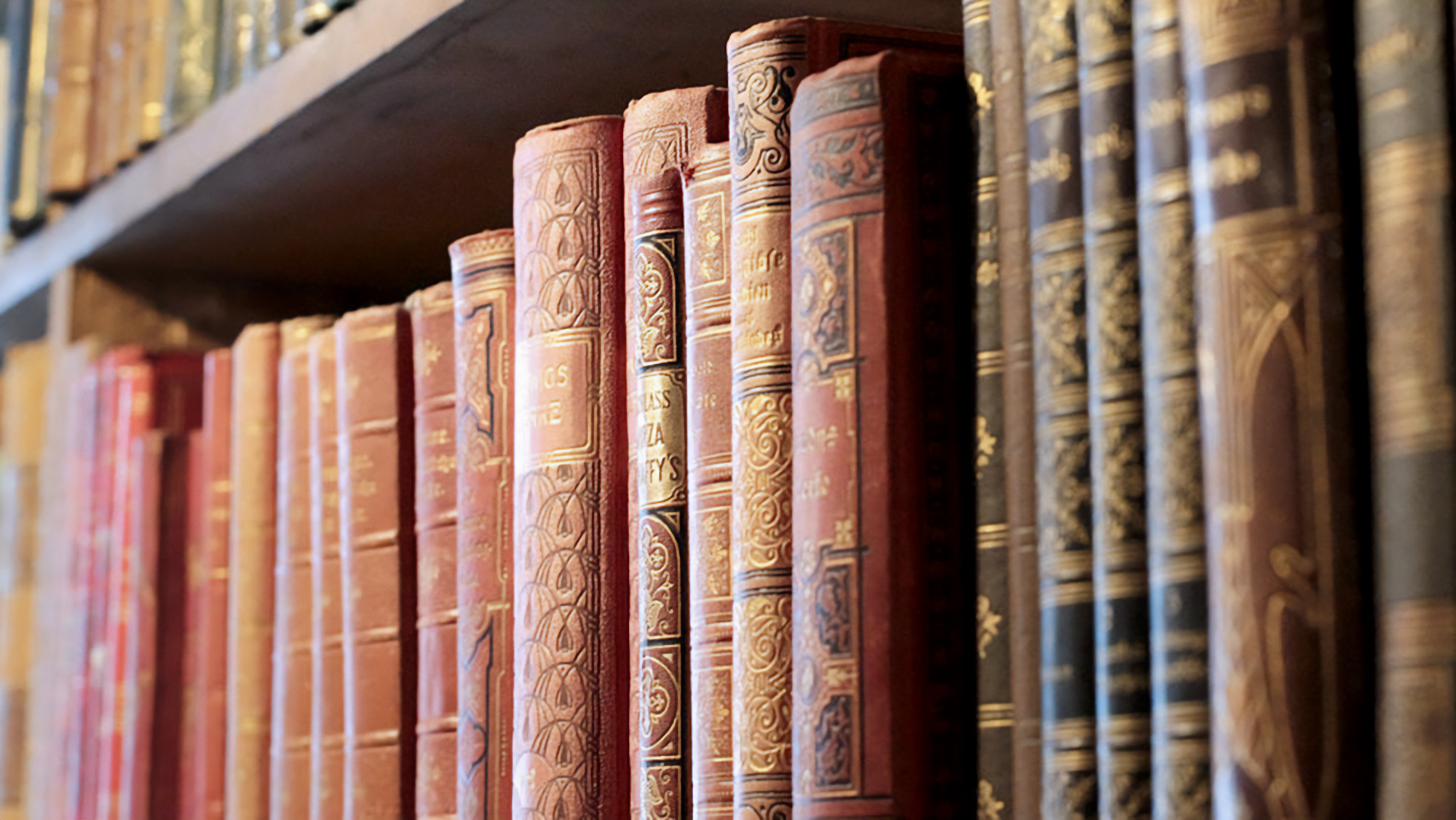 Books on a bookshelf