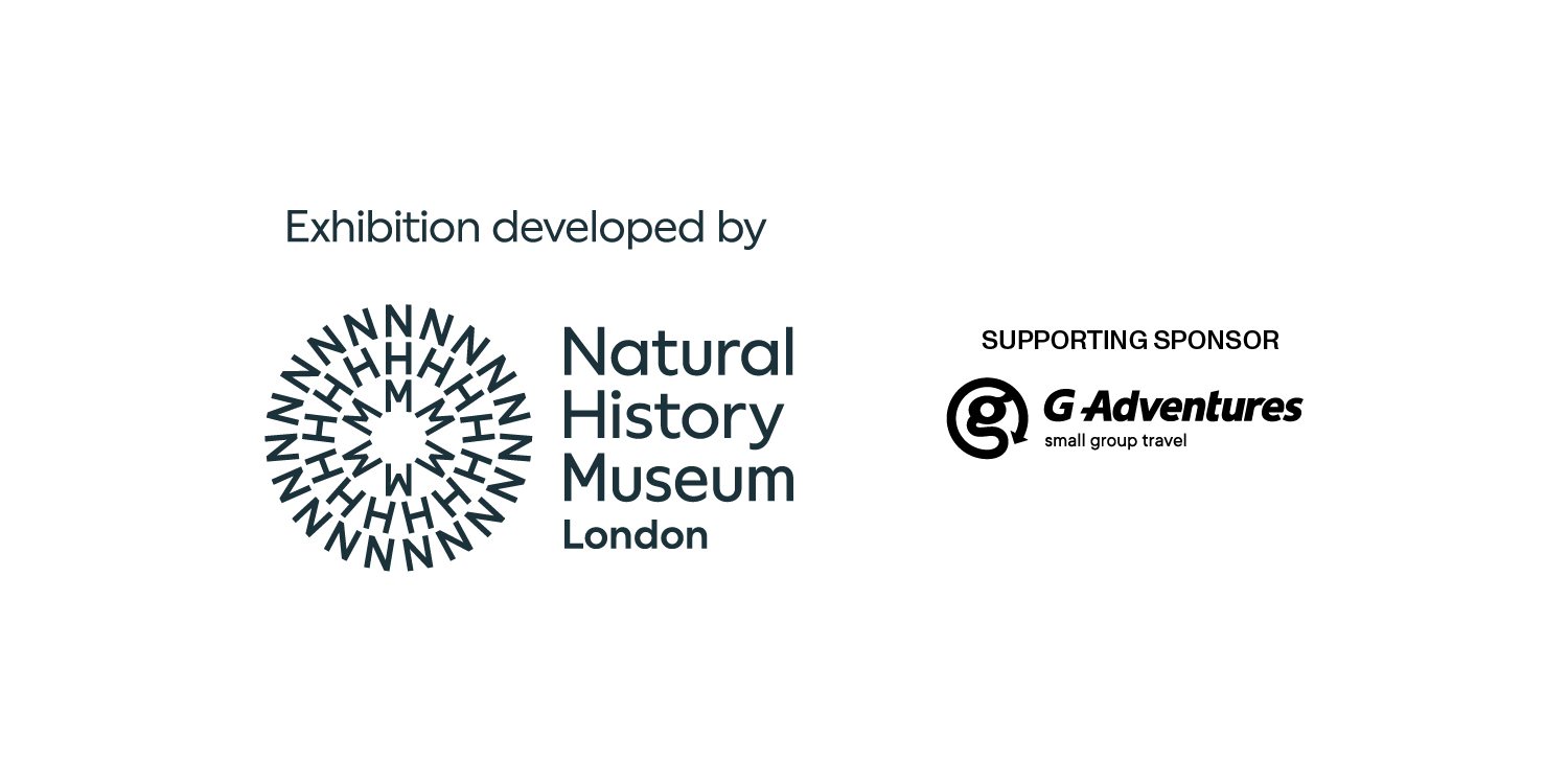 natural history museum london and G adventures logo