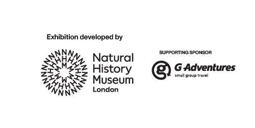 Exhibition developed by Natural History Museum London. Supporting Sponsor G Adventrues