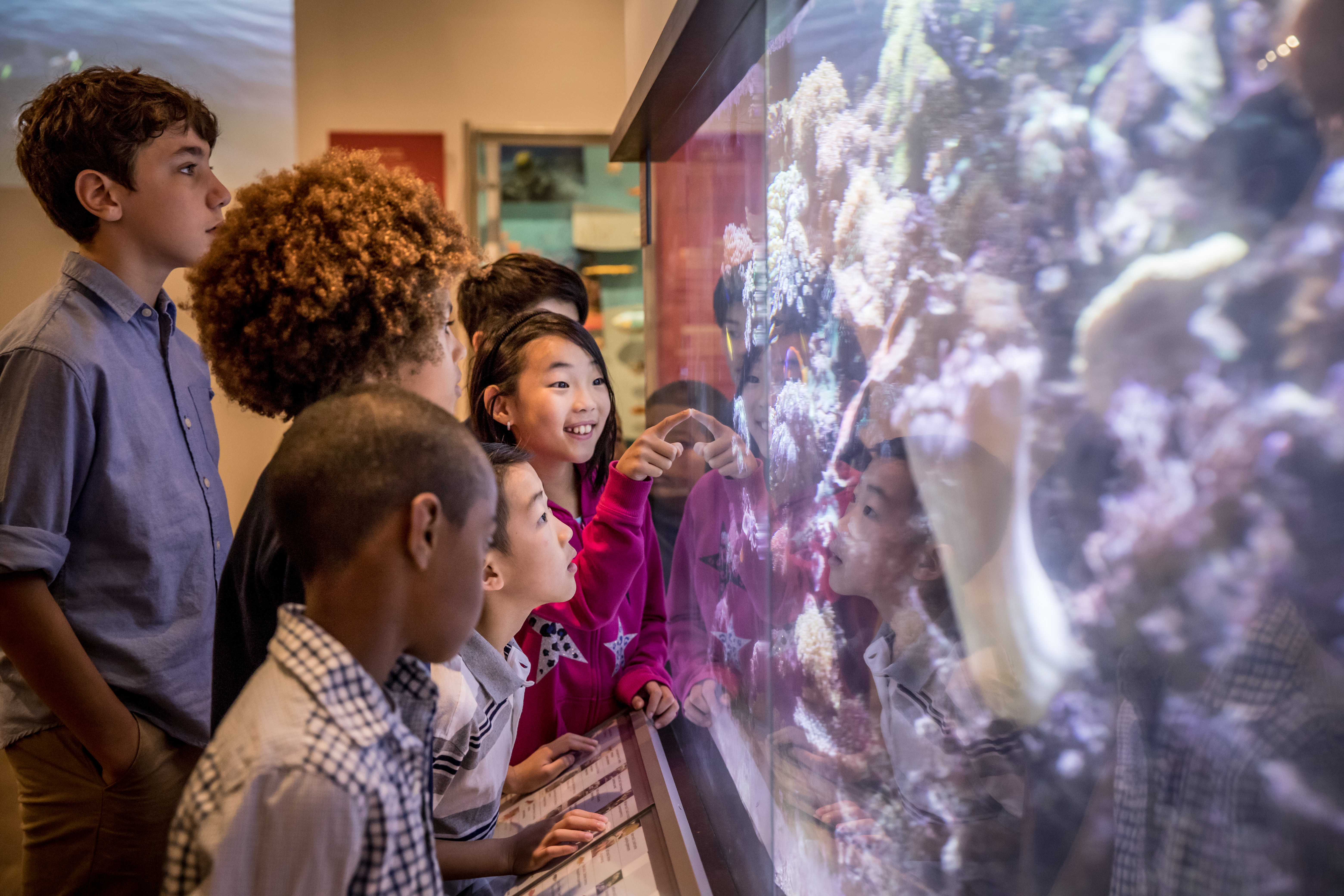 group of kids looking at an aquarium, one kid pointing inside the tank