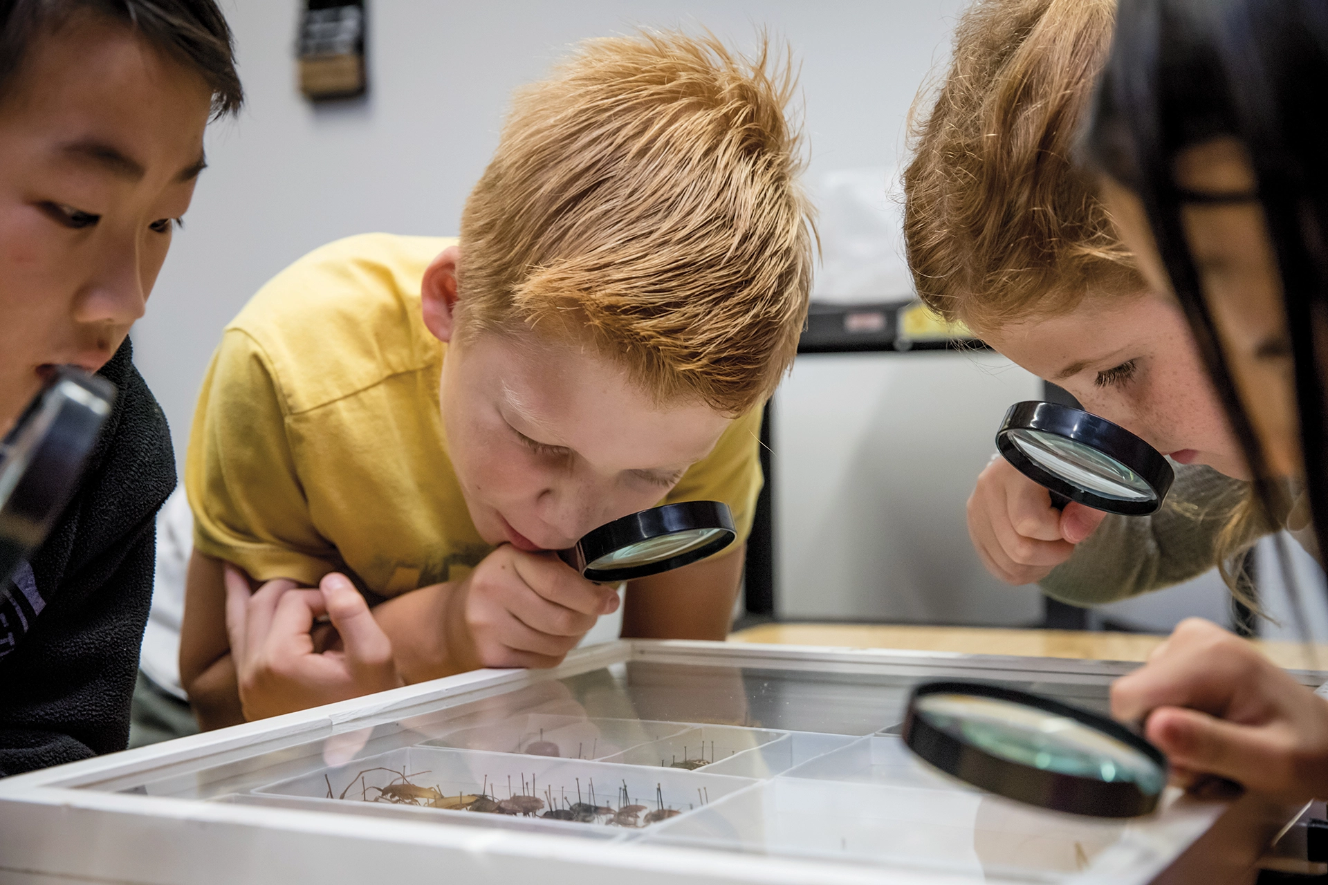 Children at March Break camp looking through magnifying glass