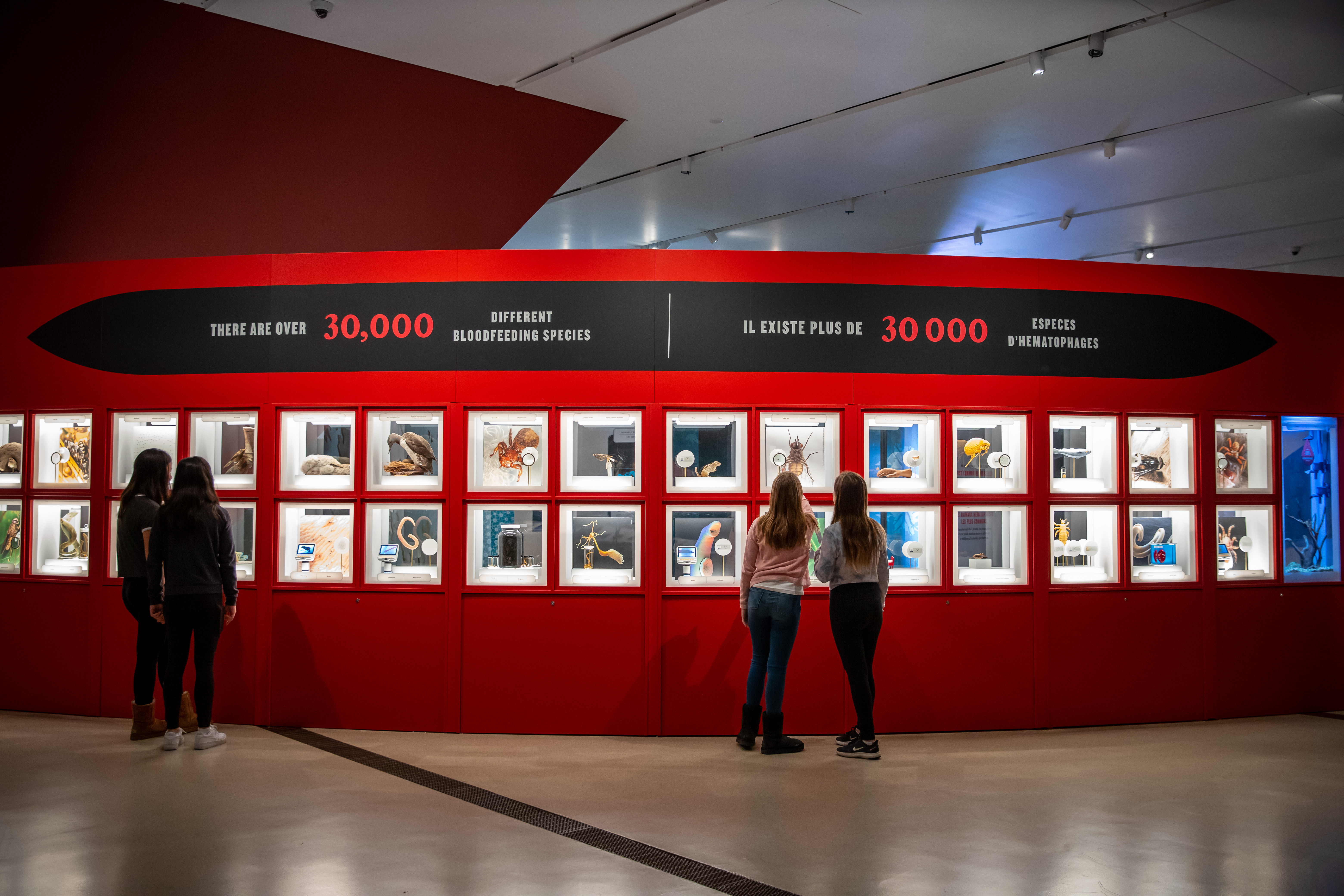 Visitors looking at a wall of different Bloodsucking species.