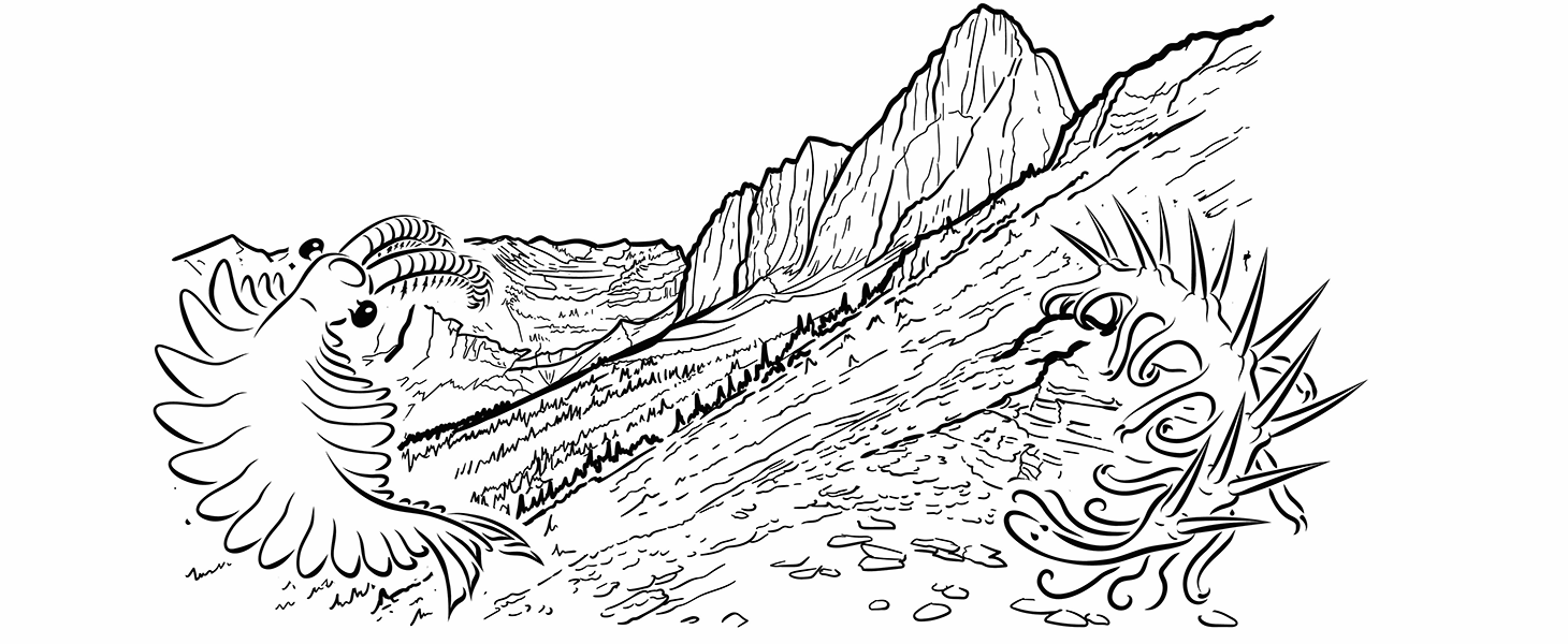 Burgess Shale drawing