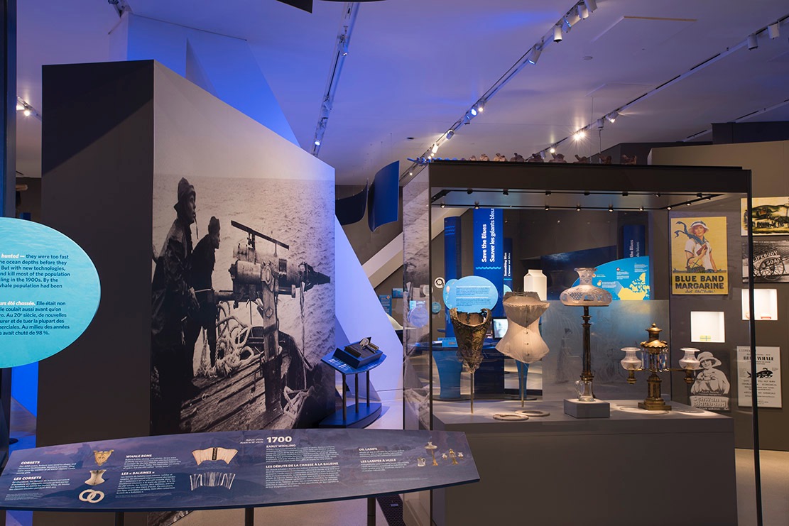 A museum exhibit showcasing clothing illuminated by a soft blue light, highlighting the intricate details of each whale exhibit piece.