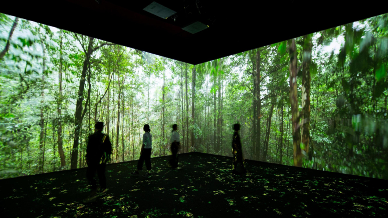 A double screen showing a forest setting