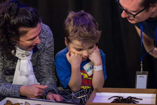 A child examines a spider specimen with adults