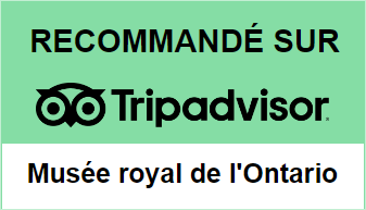 Trip advisor