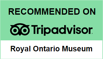 trip advisor