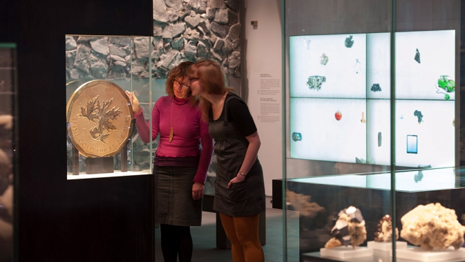 Teck Suite of Galleries: Earth's Treasures
