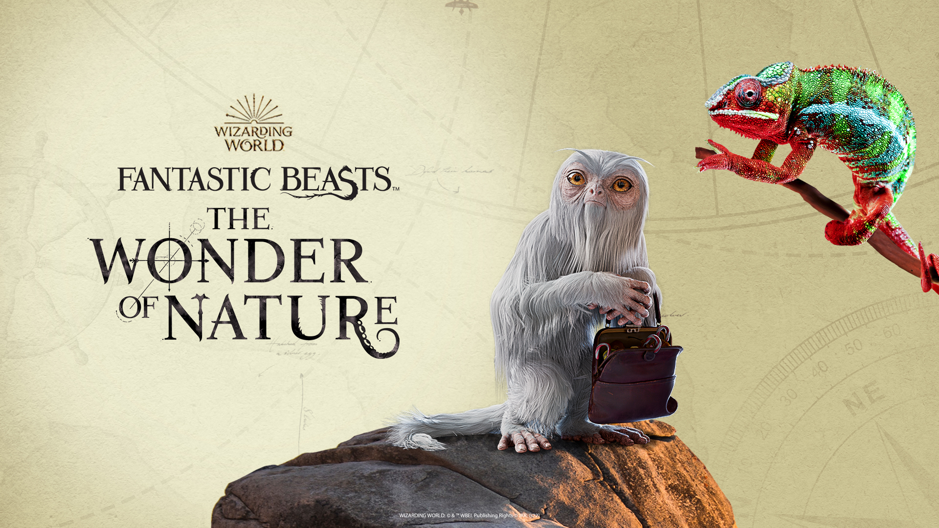 Fantastic Beasts with Demiguise + Camelon
