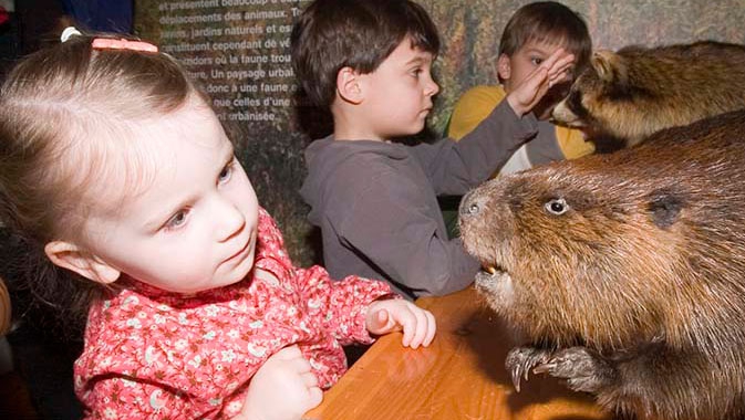 Kids can learn about the animals that live around the world, and the ones in their own back yard!