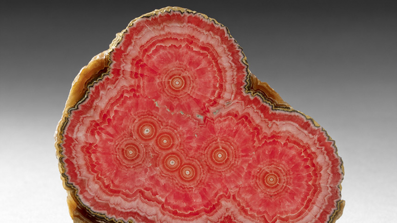 Une tranche de rhodochrosite: cercles concentriques rouges et blancs
