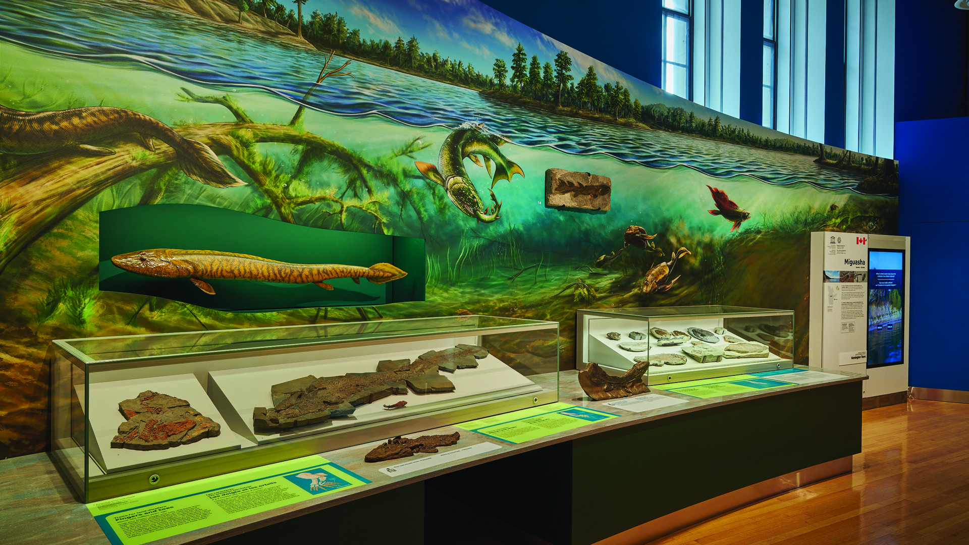 Gallery display showing an artist's rendition of an underwater scene.