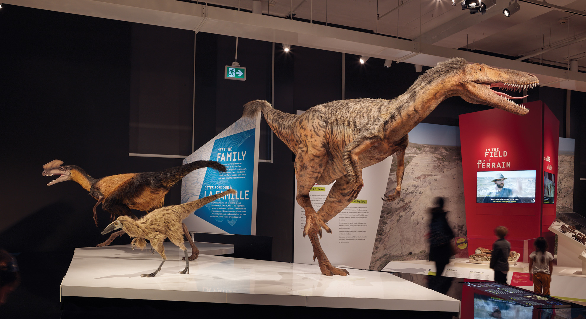 Photo of an installation platform with three Tyrannosaur models of different sizes.