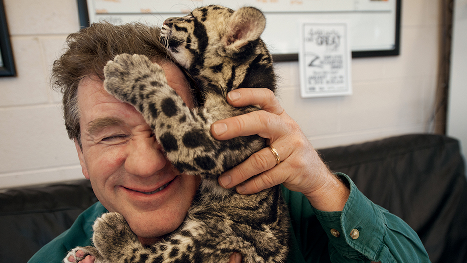 After a photo shoot at the Columbus Zoo in Ohio, a clouded leopard cub climbs on photographer Joel Sartore’s head. Photo by Grahm S. Jones. Columbus Zoo and Aquarium, Ohio. National Geographic Photo Ark 