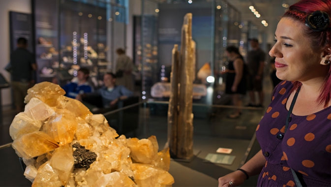 Teck Suite of Galleries: Earth's Treasures
