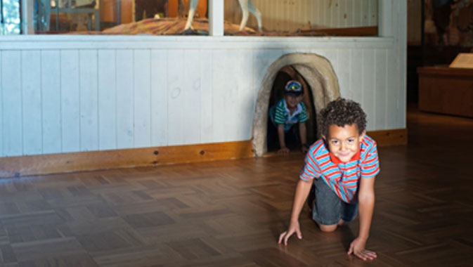 Scamper through the fox's den. Little ones can scamper in and through the fox's den, learning how this creature moves in its home environment.