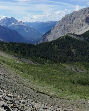 Burgess Shale