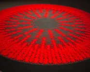 Infiltration, 2015, 56 pouces de diamètre x 5 pouces, acrylique découpé au laser sur une plate-forme en bois, Crédit photo : Tazeen Qayyum
