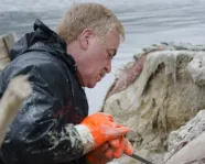 Dr. Mark Engstrom helping to prepare the whale for it's trip back to the Royal Ontario Museum.
