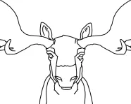 Outline of Moose
