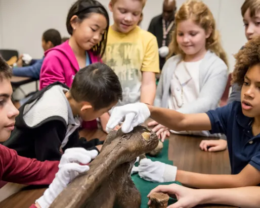 Enfants avec un os fossile
