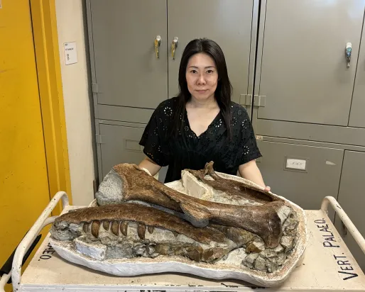 Shino Sugimoto with a dinosaur fossil cast.