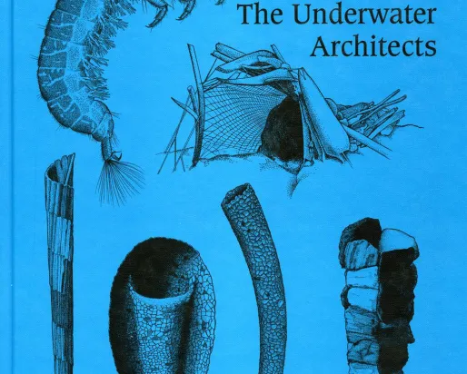 Front cover of the book Caddisflies: The Underwater Architects.