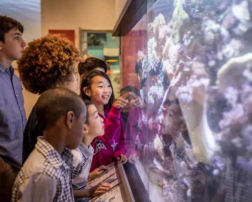 group of kids looking at an aquarium, one kid pointing inside the tank