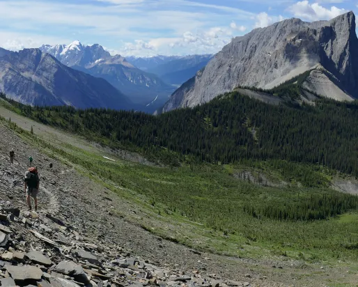 Burgess Shale