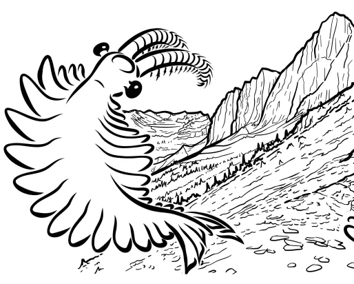 Burgess Shale 1975-2025 Illustration of Burgess Shale