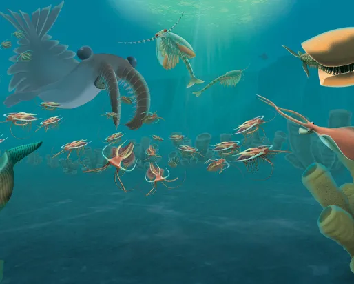 Burgess Shale illustration An artist's illustration of an ancient sea scape teeming with life.