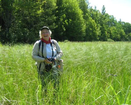 Photo of Flora in grass field
