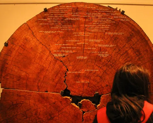 A young girl standing in front of the ROM's Tree Cookie on display.
