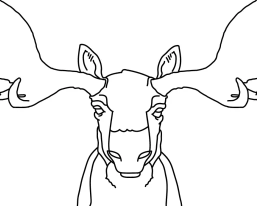 Outline of Moose
