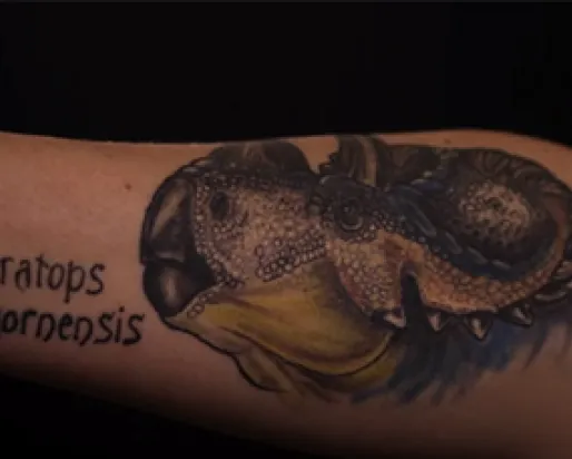 A tattoo of a dinosaur, a Wendiceratops pinhornensis, on a woman’s right forearm.
