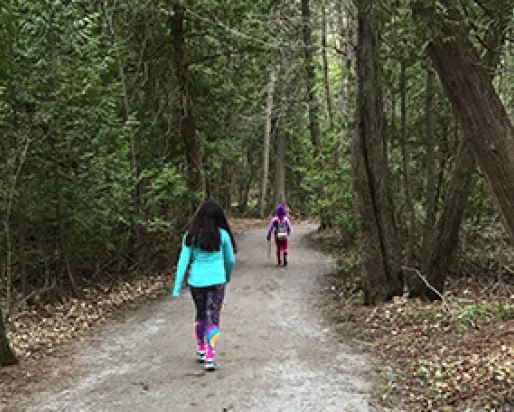 Enfants marchant le long d'un sentier dans la forêt.
