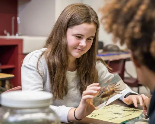ROM visitor participating in ROM program