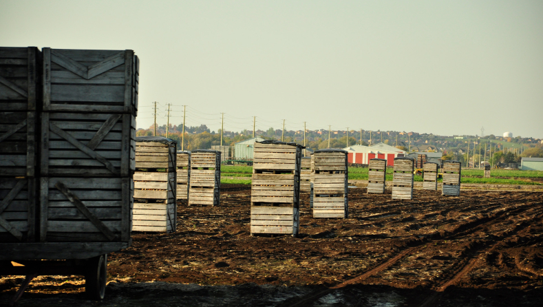 Farming boxes © Veronica Sheppard, 2011