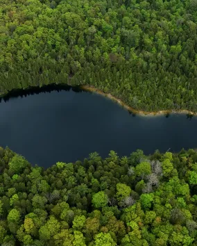Crawford Lake © Daniela Rupolo, ROM  Drone shot of Crawford Lake